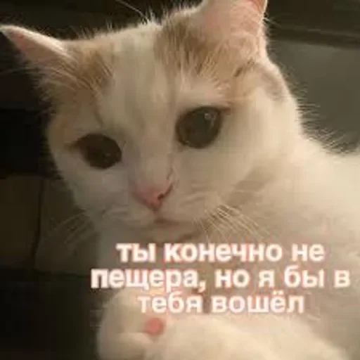 😉 😉 -
