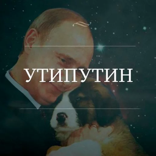 Утипутин @rruuff Утипутин @rruuff -