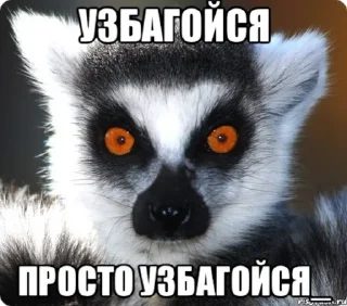 Стикер УЗБАГОЙСЯ - 4