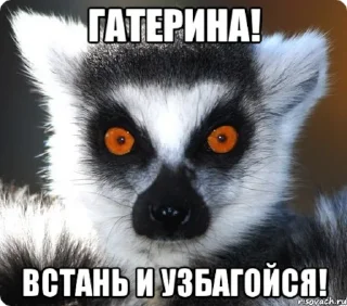 Стикер УЗБАГОЙСЯ - 2