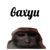 vahui_au vahui_au -