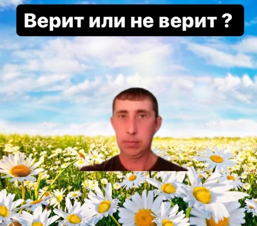 ВЕРИМч2 ВЕРИМч2 -