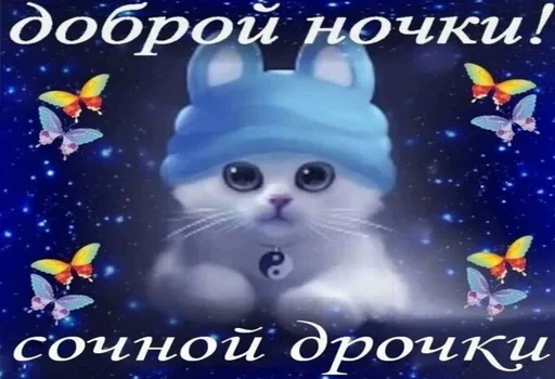 СМС кошка мультфильм