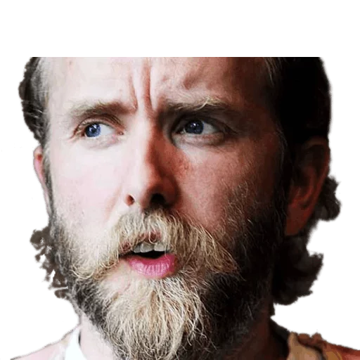 human beard human beard facial hair human face