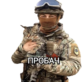 Стикер Military memes - 0