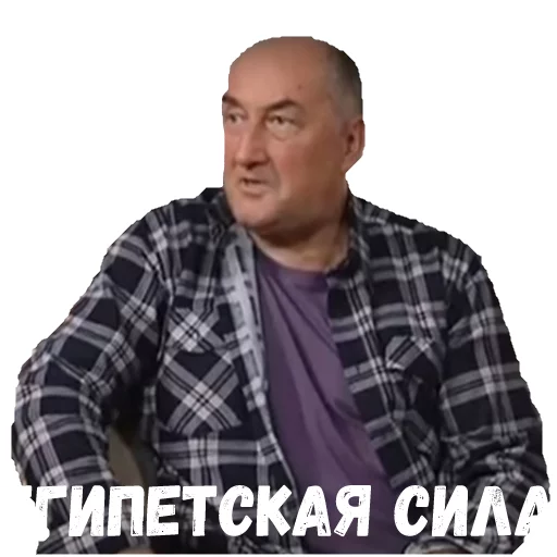 ВОРОНИНЫ ВОРОНИНЫ -