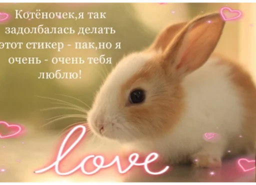 Тебе🥺❤️ Тебе🥺❤️ -