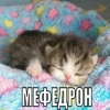 демотиватор демотиватор -