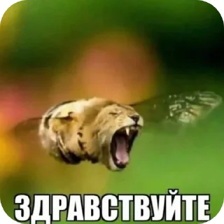 Sticker ввважнейшие переговоры - 0