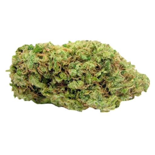 weed4life weed4life -