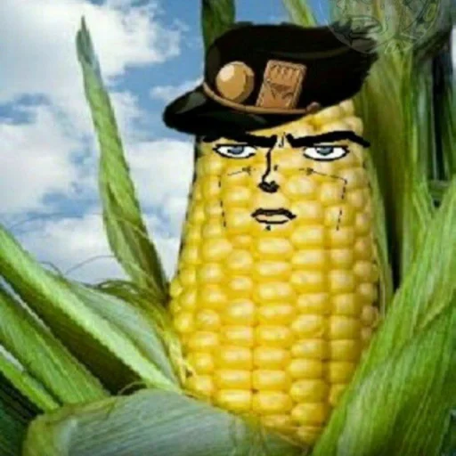 corn food corn on the cob