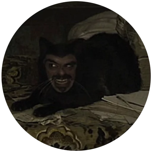 human face human face mammal animal