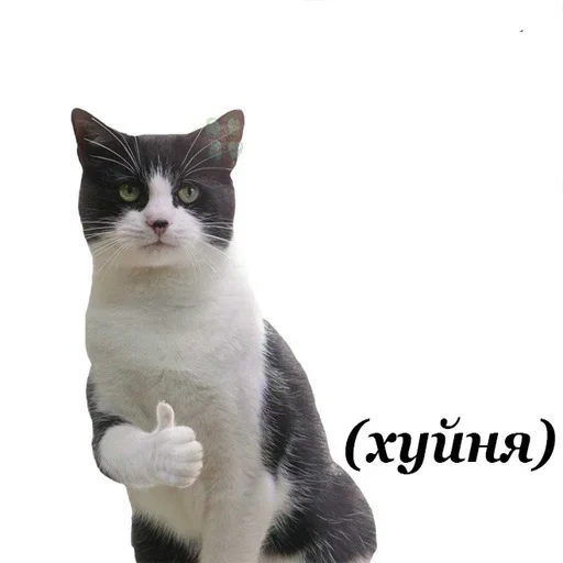 ВХУУУУРЕ by @fStikBot ВХУУУУРЕ by @fStikBot -