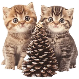Sticker Зимние котики @Nyasticks - 10