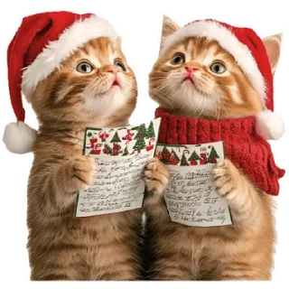 Sticker Зимние котики @Nyasticks - 5