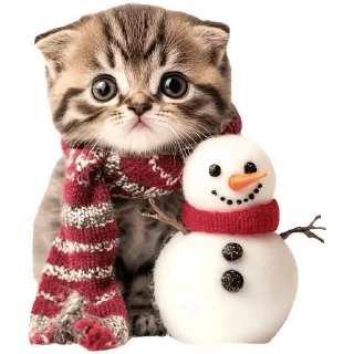 Sticker Зимние котики @Nyasticks - 6