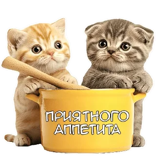 Sticker Зимние котики @Nyasticks - 11
