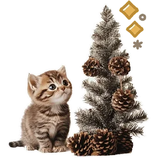 Sticker Зимние котики @Nyasticks - 4