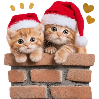 Sticker Зимние котики @Nyasticks - 9