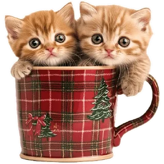 Sticker Зимние котики @Nyasticks - 7