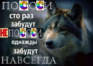 Sticker волк который волк - 0