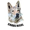 wolf__chavez wolf__chavez -