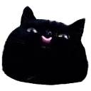 CAAAATS CAAAATS - животное