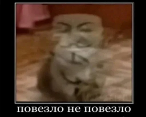 СМС СМС скриншот животное