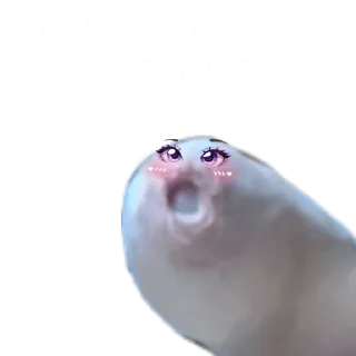 Стикер Хуëвые стикеры - 0