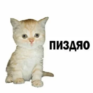 Sticker Создано в @sozdsti_bot - 11