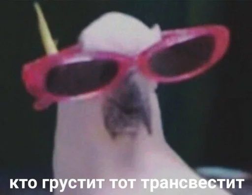 всратые картиночки всратые картиночки -