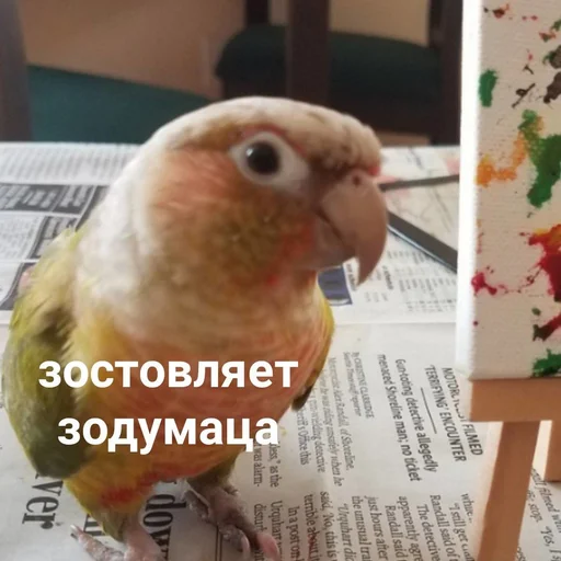 Sticker всратые картиночки - 3