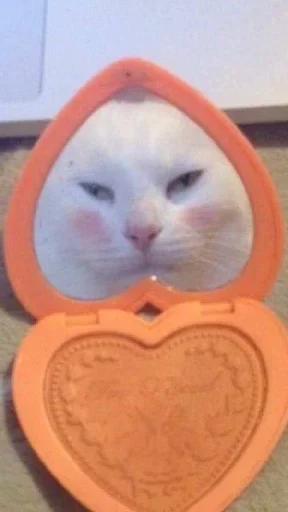 Ебобопак :: @fStikBot Ебобопак :: @fStikBot - animal
