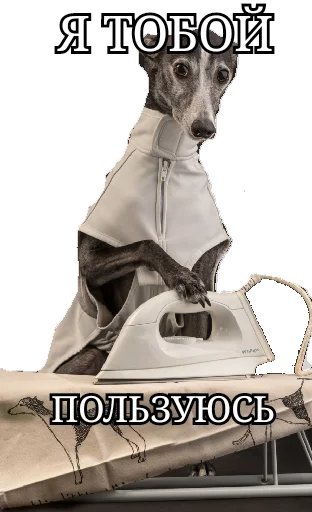 Утюг Утюговый Утюг Утюговый -