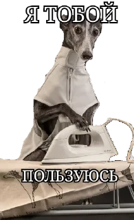 Стикер Утюг Утюговый - 6