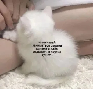 Стикер Больше стиков тут: @stikery4 - 0