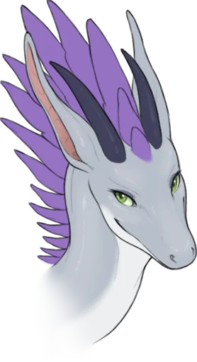 zephyr zephyr -