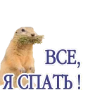 Sticker животные - 0