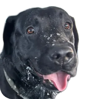 Sticker жжпп - 3