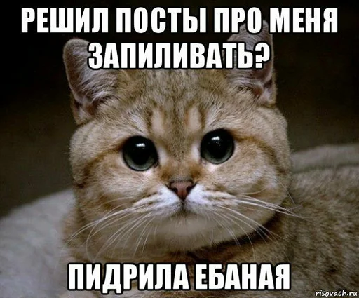 OK by zlaya ytka OK by zlaya ytka -