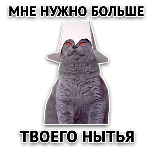 Злойпак Злойпак -