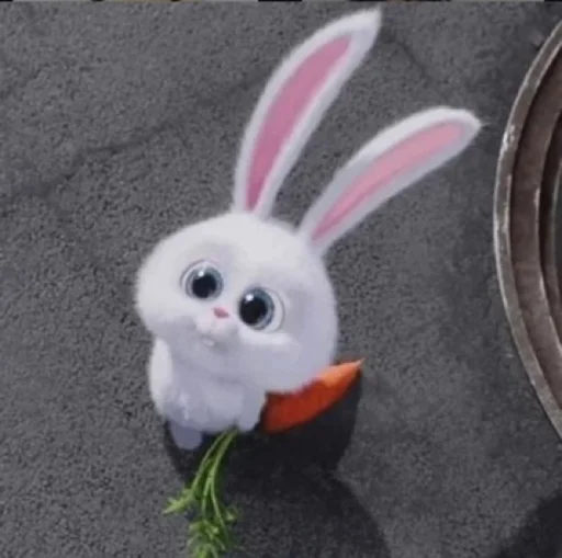 moy zaychik 🐰 moy zaychik 🐰 -