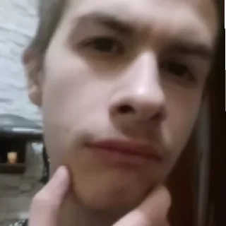 Стикер zolik - 4