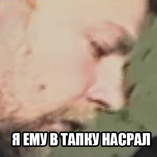 text text mammal animal