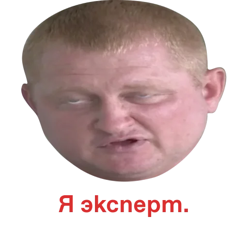 zashkvarka° zashkvarka° -