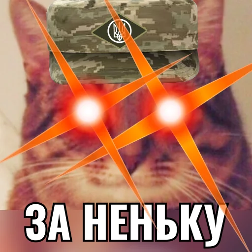 Sticker Кіт ЗСУ - 0
