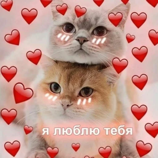 зверюшки от Настюшки :3 by @fStikBot зверюшки от Настюшки :3 by @fStikBot - animal