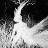 zxcursed993 pack)0)) zxcursed993 pack)0)) -